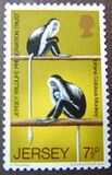 [Jersey Wildlife Preservation Trust, Вид AA]