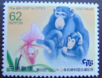 [The 8th Conference of Parties to Convention on International Trade in Endangered Species, Kyoto City, type CIT]