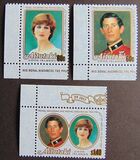 [Royal Wedding of Prince Charles and Lady Diana Spencer, Tipi JK]