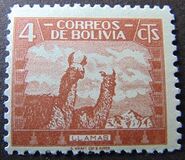 [Fauna boliviana., tipo CV1]