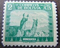 [Fauna boliviana., tipo CV]