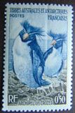 [Penguins and Seals, type B]