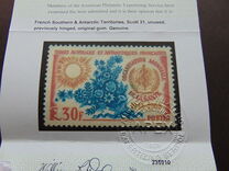 [The 20th Anniversary of W.H.O, 类型 AL]