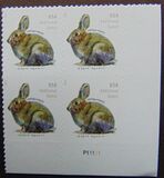 [Brush Rabbit, type ILA]