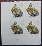 [Brush Rabbit, type ILA]