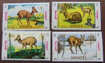 [Siberian Musk Deer, typ BWE]