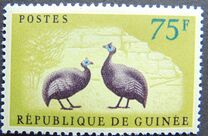 [Birds - Guineafowl, 类型 AE5]
