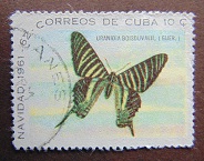 [Christmas, type YO]