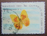 [Christmas, type YR]