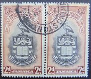 [University College of the West Indies, 类型 DP]
