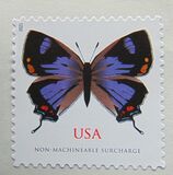 [Insects - Colorado Hairstreak, tip ILT]
