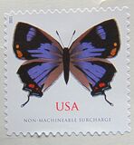 [Insects - Colorado Hairstreak, tip ILT]