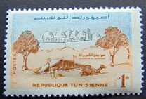 [Living in Tunisia, نوع DR]