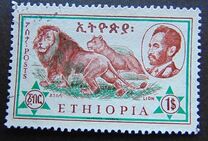 [Ethiopian Fauna, type MM]