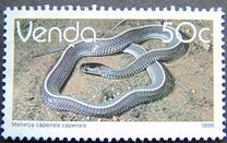 [Reptiles, type ED]