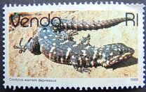 [Reptiles, type EE]