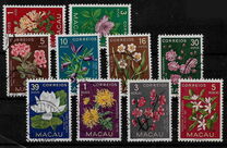 [Indigenous Flowers, Tipi CI]