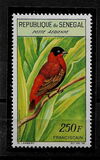 [Birds, tip CD]