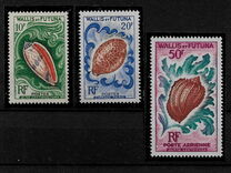 [Marine Fauna - Shells, veids AZ]