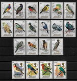 [Birds, Tipi LM]