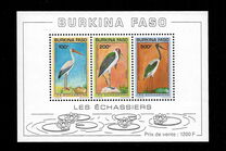 [Birds, tegund KP]