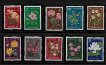 [Indigenous Flowers, Tipi CI]