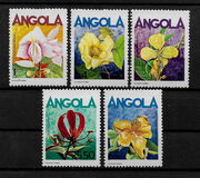 [Medicinal Plants, type QH]