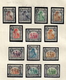 [Dromedary Camels, tegund D]