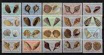 [Seashells, tip LD]