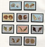 [Seashells, tip LD]