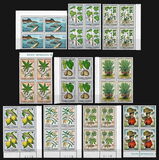["Produce of Cape Verde Islands", type DD]