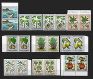 ["Produce of Cape Verde Islands", වර්ගය DD]