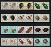 [Fossils and Minerals, type KG]