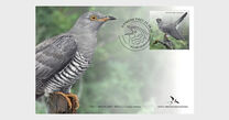 [Bird of the Year - The Common Cuckoo, type BHK]
