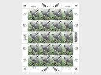 [Bird of the Year - The Common Cuckoo, type BHK]