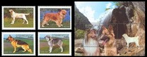 [Dogs, tegund XVE]