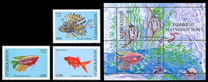 [Tashkent Zoo - Aquarium Fish, type AFO]