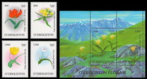 [Flowers - Tulips, type AFT]