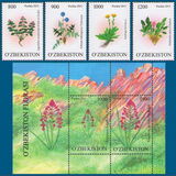 [Rare Plants, type AGG]