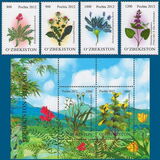 [Flora - Rare Plants, Scrivi AJI]