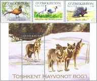 [Tashkent Zoo, type AMM]