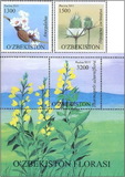 [Flora of Uzbekistan, τύπος AMS]