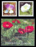 [Flora of Uzbekistan, type ANL]