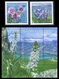 [Flora of Uzbekistan, Tüüp AOY]
