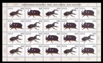 [Beetles, típus MS]