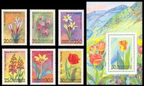 [Flowers of Uzbekistan, type AI]