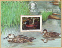 [Waterbirds, tegund KB]