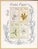[Orchids, tip AT]