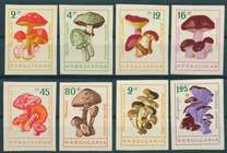 [Mushrooms - Imperforated, տեսակ ANP1]