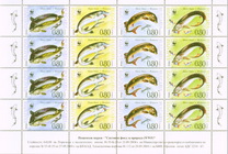 [Fish - Nature Conservation - European Sturgeon, type FOY]